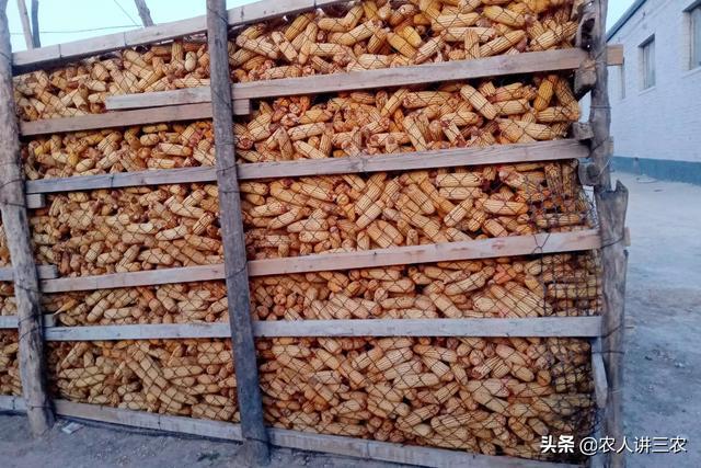 第1517页