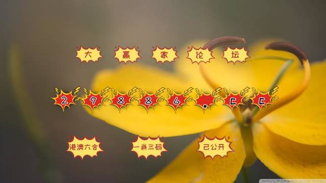 信息技术 第279页