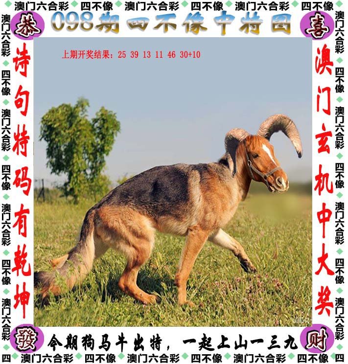 图书 第264页