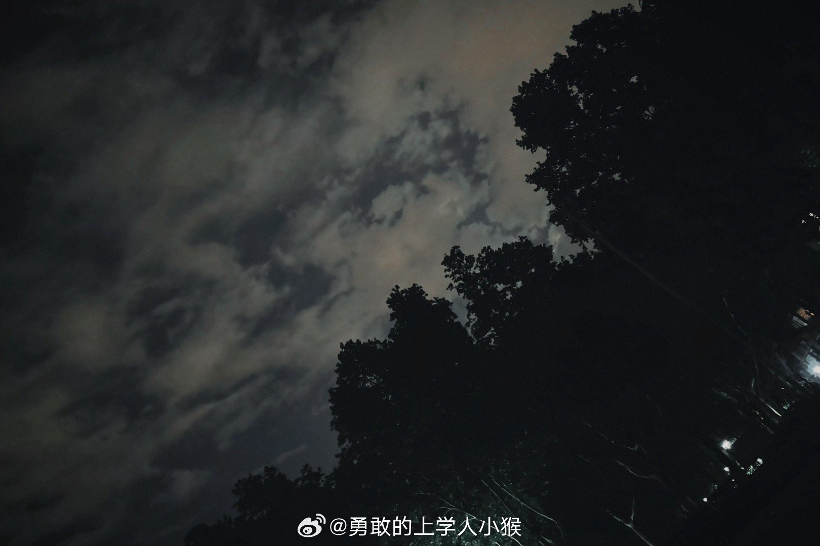 软件开发 第267页