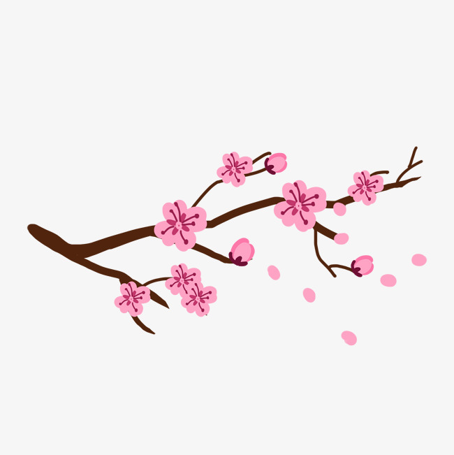 基础电信业务 第64页