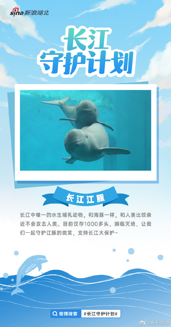 基础电信业务 第37页