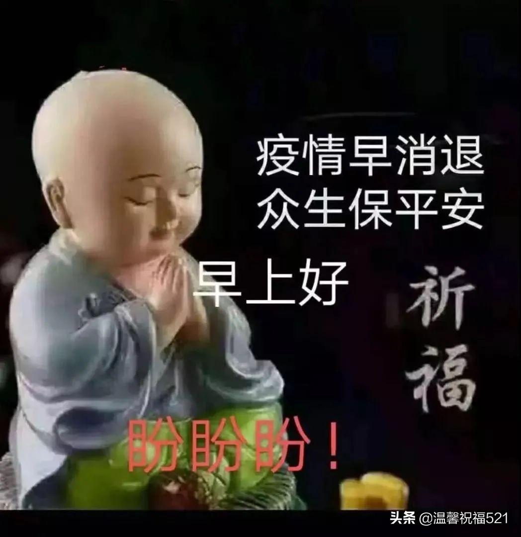 全球最新疫情现状与应对策略，多维度视角下的深度探讨